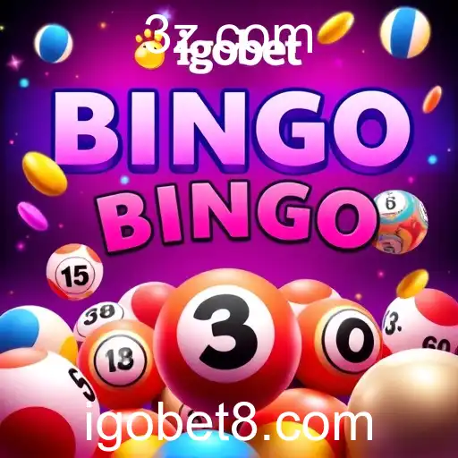 Exploring the Thriving World of Online Bingo on Igobet